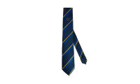 EU Parliament Tie -  blue and yellow stripes