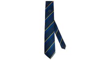 EU Parliament Tie -  blue and yellow stripes