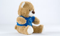 Teddy, 18cm 12 stars