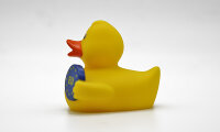 Canard de bain européen